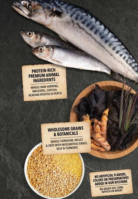 ACANA   Wholesome Grains American Waters Recipe with Whole Saltwater & Freshwater Fish Dry Dog Food