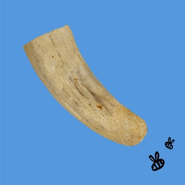 Honey I'm Home! Horn Core Natural Honey Coated Buffalo Chew