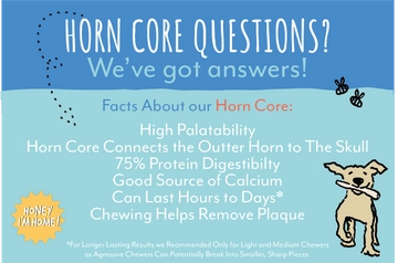 Honey I'm Home! Horn Core Natural Honey Coated Buffalo Chew