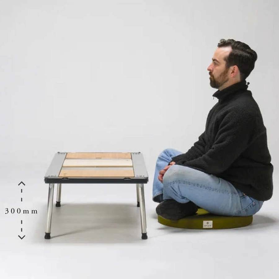 IGT Ground Height 300mm Leg Set