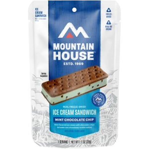 Mint Chocolate Chip Ice Cream Sandwich