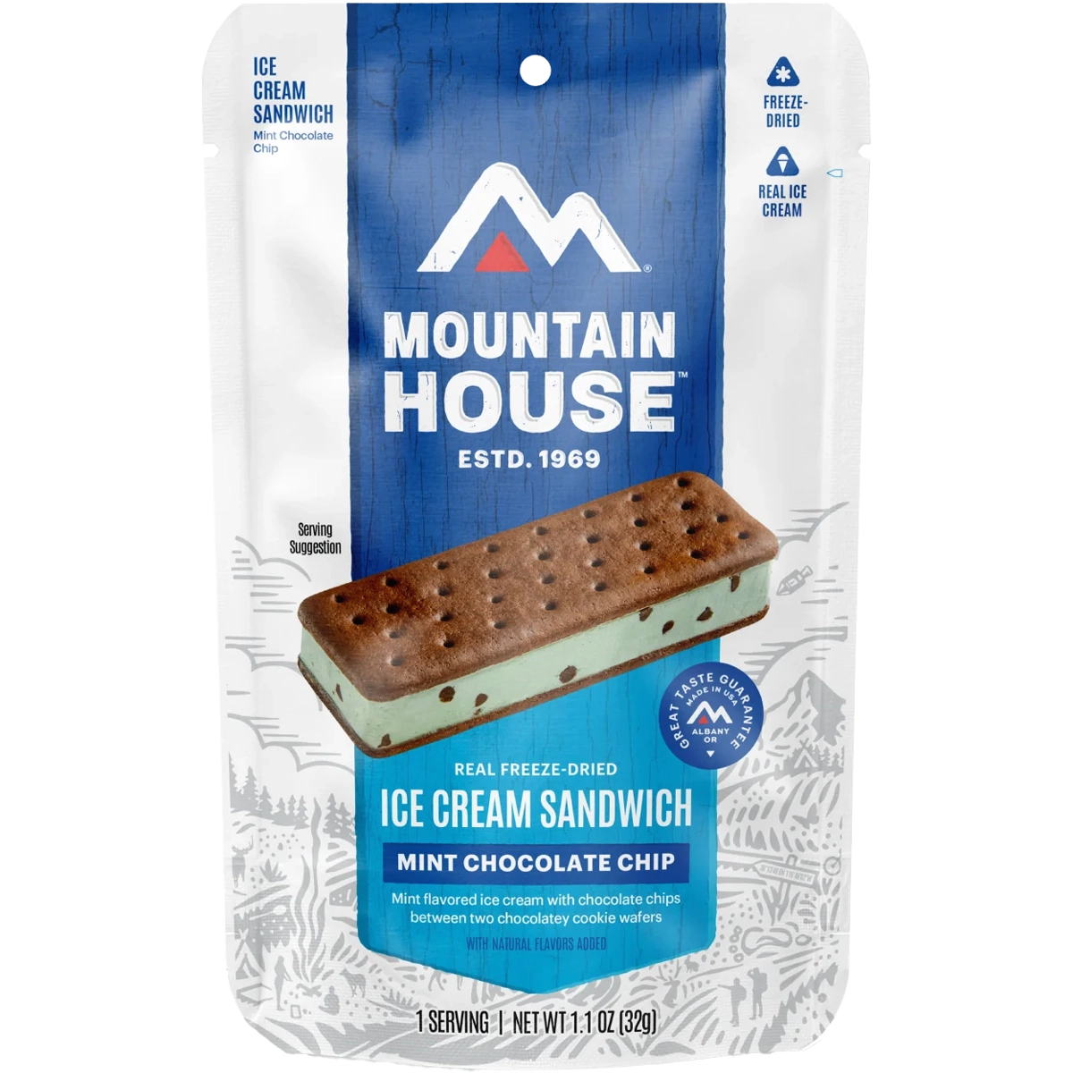 Mint Chocolate Chip Ice Cream Sandwich