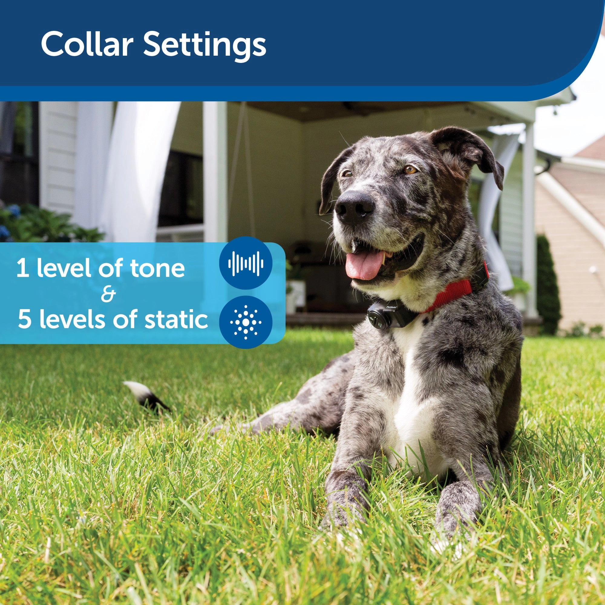 PetSafe Basic In-Ground Fence – Covers 1/3-Acre Yard with Included Wire – Expandable up to 5 Acres – For Pets 8 lbs and Up – From the Parent Company of INVISIBLE FENCE Brand
